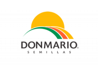 donMario